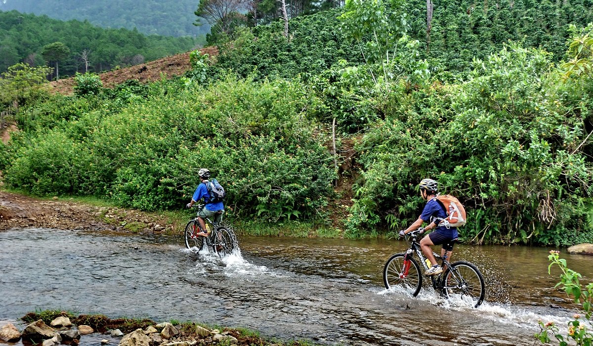 Conquer the High Peaks: Your Ultimate Guide to a Vietnam Mountain Bike Tour